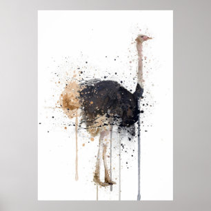 Ostrich Poster
