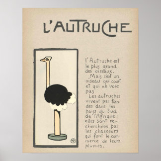 Ostrich Poster
