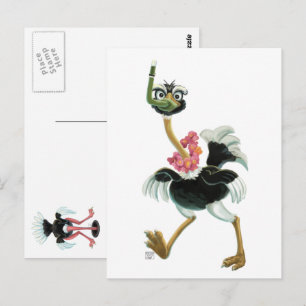 Ostrich Race in the Swamp Postcard