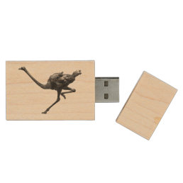 Ostrich Running Cool Athlete Animal Art Wood USB Flash Drive