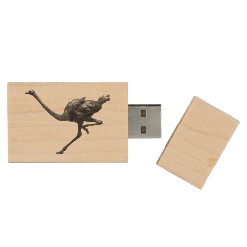 Ostrich Running Cool Athlete Animal Art Wood USB Flash Drive