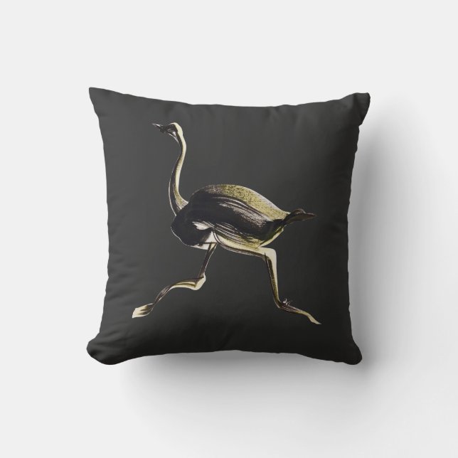 Ostrich running throw pillow (Front)