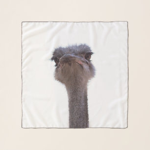 ostrich scarf