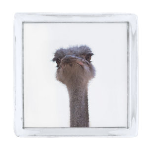 ostrich silver finish lapel pin