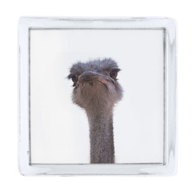 ostrich silver finish lapel pin (Front)