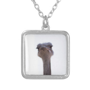 ostrich silver plated necklace