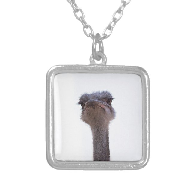 ostrich silver plated necklace (Front)