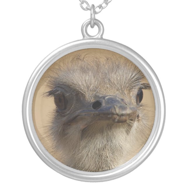 ostrich silver plated necklace (Front)