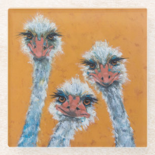 Ostrich Sisters Glass Coaster