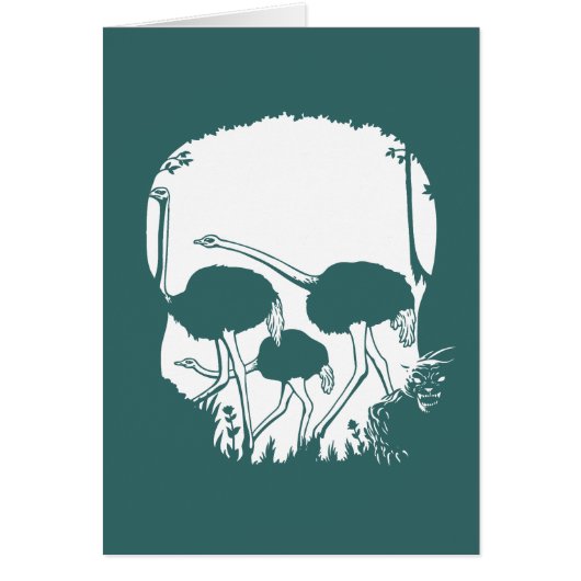 Ostrich Skull Illusion Cards (Front)