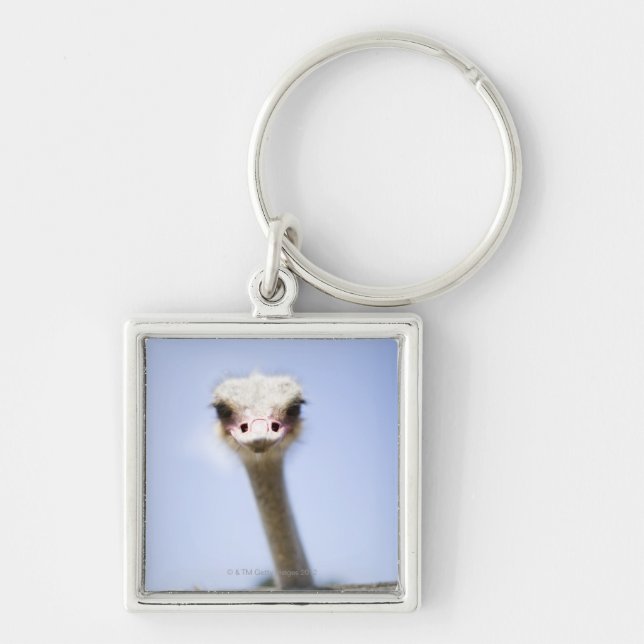 Ostrich Speak Keychain (Front)