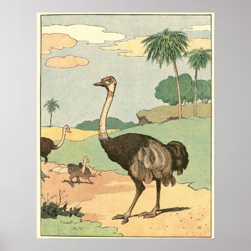 Ostrich Storybook Drawing Poster