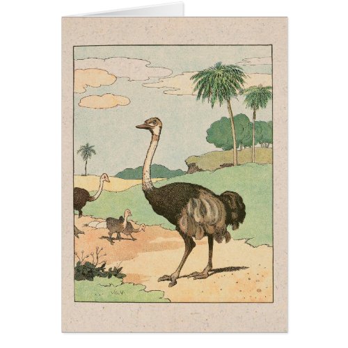 Ostrich Storykook Illustrated Note Card