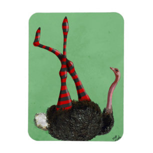 Ostrich Striped Leggings Magnet