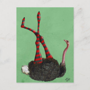 Ostrich Striped Leggings Postcard