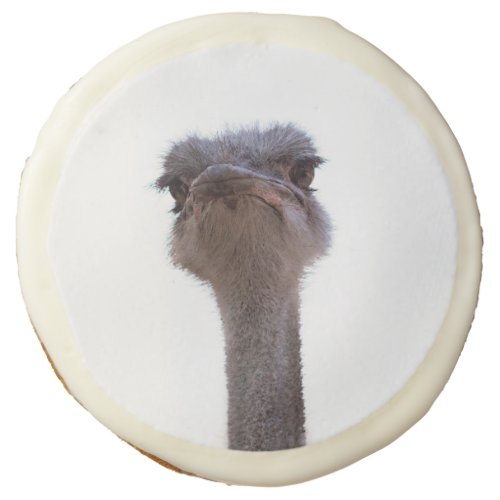ostrich sugar cookie