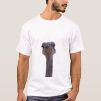 ostrich