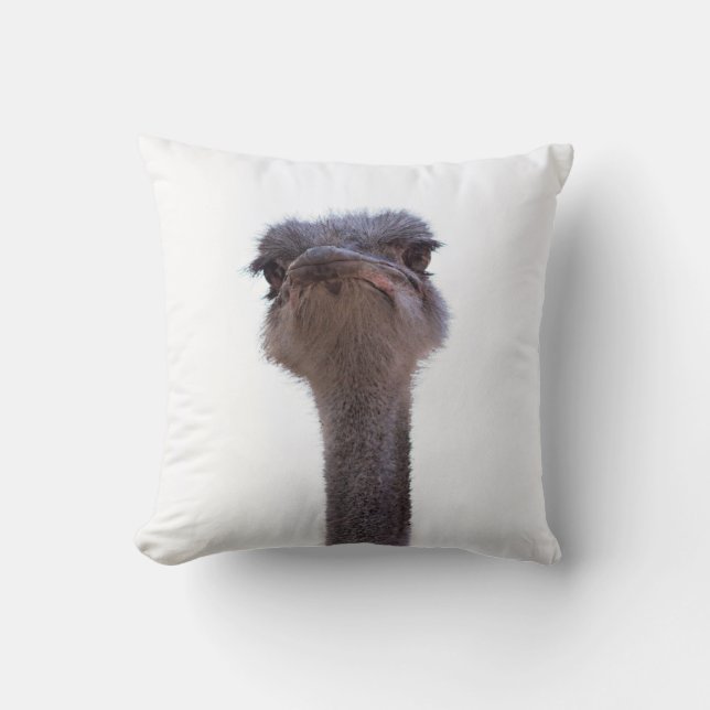 ostrich throw pillow (Front)