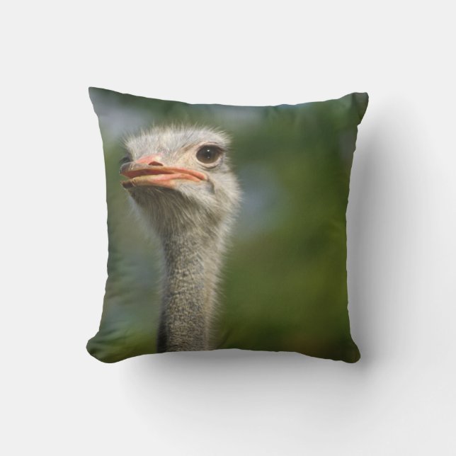 Ostrich Throw Pillow (Front)