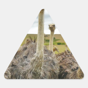 ostrich triangle sticker