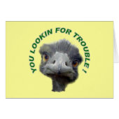 Ostrich trouble (Front Horizontal)