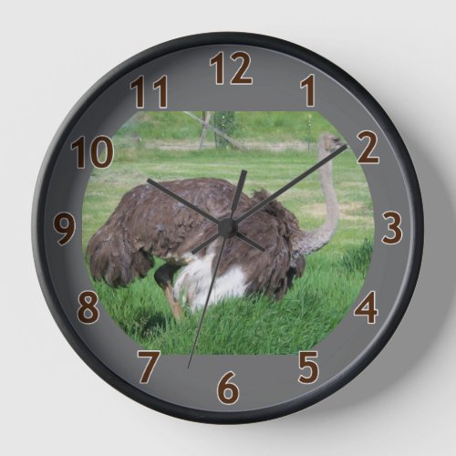 Ostrich Vera on the Ranch Clock