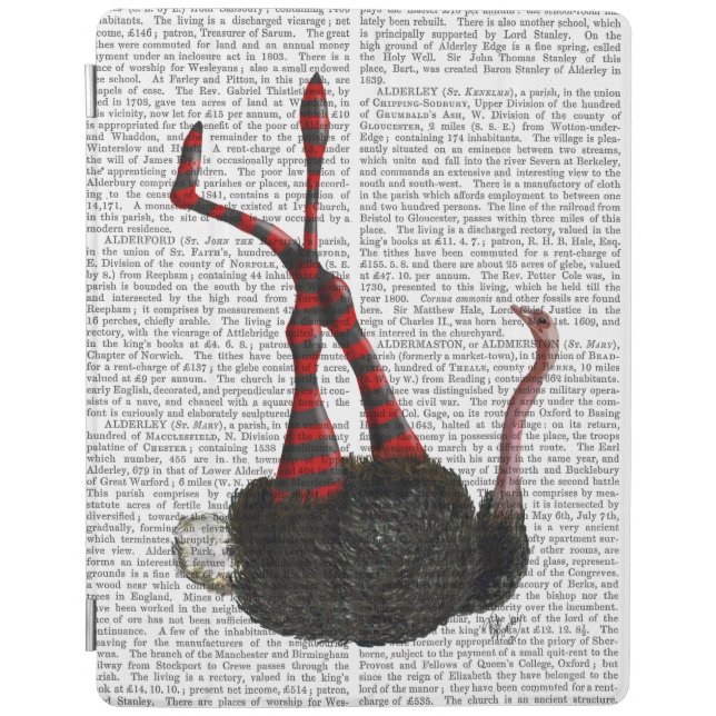 Ostrich with Striped Leggings iPad Air Cover (Front)