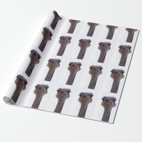 ostrich wrapping paper