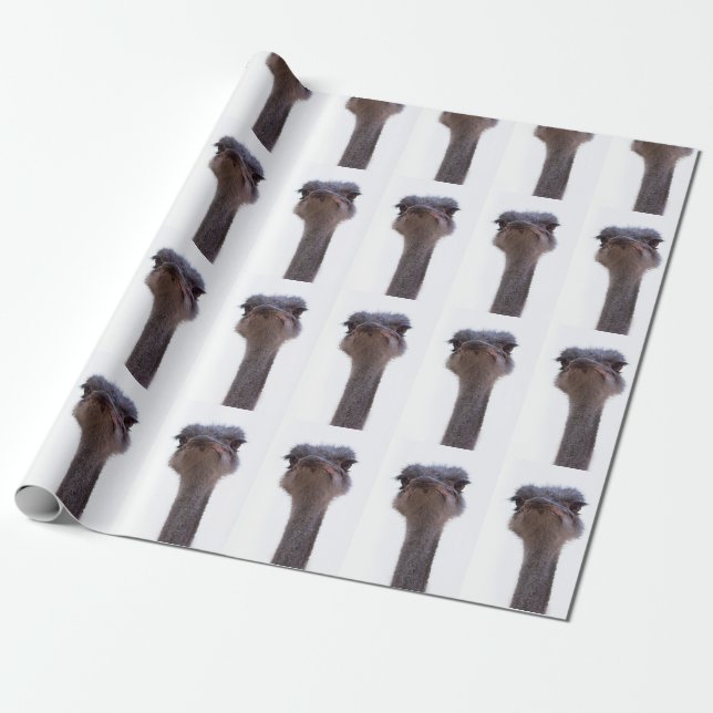 ostrich wrapping paper (Unrolled)