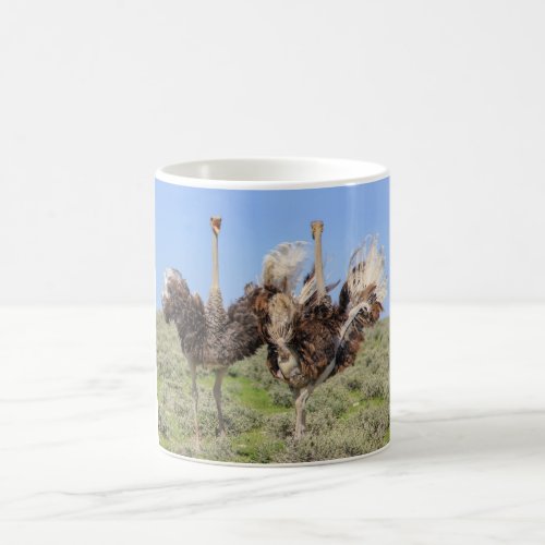 Ostriches bird Coffee Mug