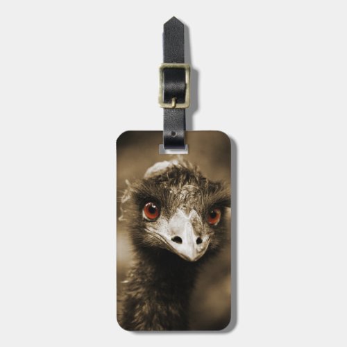 Ostriches Look custom luggage tag