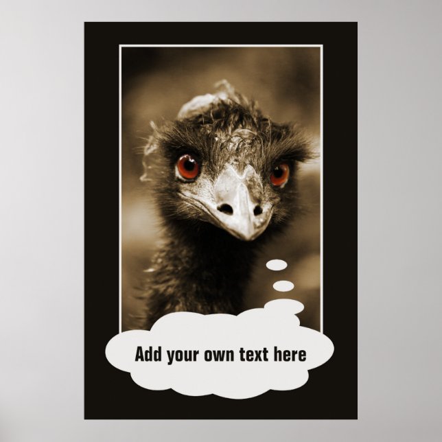 Ostriches Look custom poster (Front)