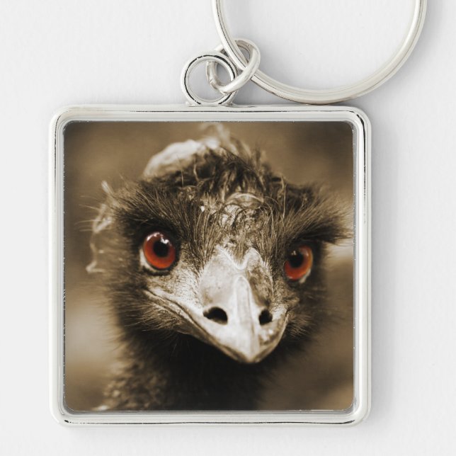 Ostriches Look key chain (Front)