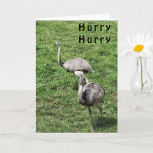 OSTRICHES SAYS HAPPY **APRIL BIRTHDAY** CARD
