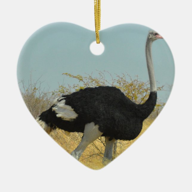 Ostrige out for a run ceramic ornament (Front)