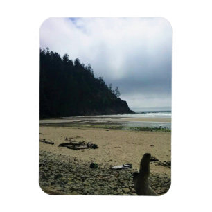 Oswald West State Park, Oregon Coast Magnet