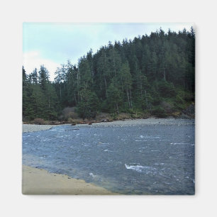 Oswald West State Park, Oregon Coast Magnet