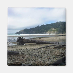 Oswald West State Park, Oregon Coast Magnet