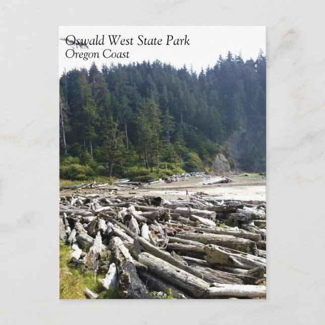 Oswald West State Park, Oregon Coast Postcard (Front)