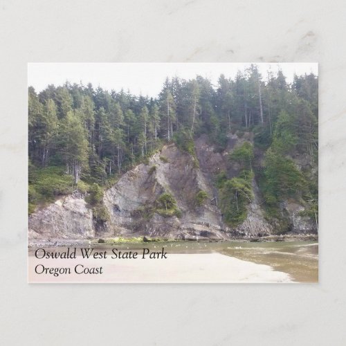 Oswald West State Park Oregon Coast Postcard
