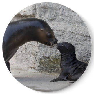 Otaria flavescens button