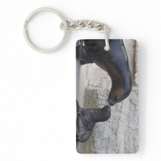 Otaria flavescens keychain