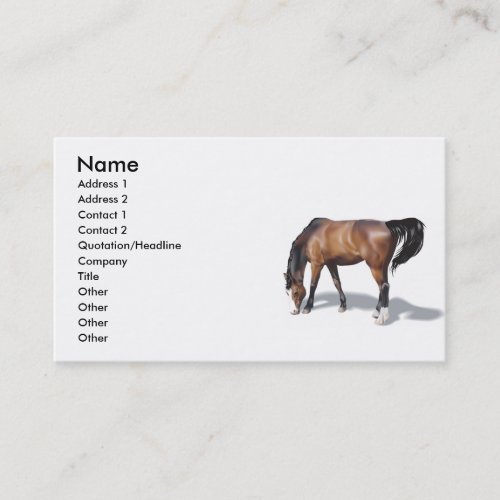 Other017 , Name, Address 1, Address 2, Contact ... Business Cards