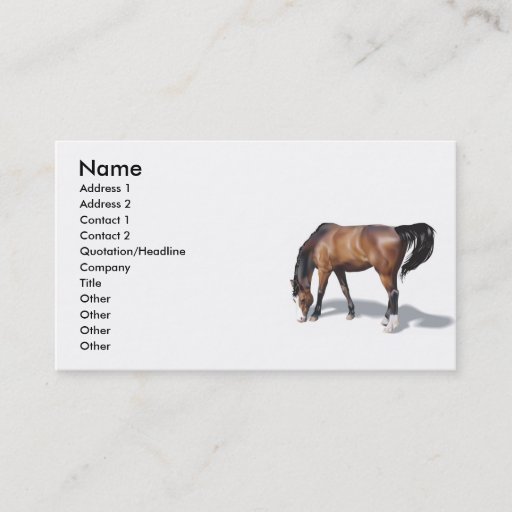 Customizable Other017 , Name, Address 1, Address 2, Contact ... Business Cards