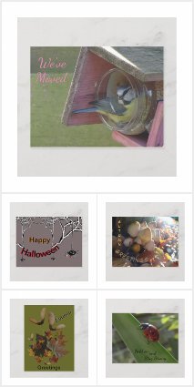 OTHER OCCASSIONS Post- & Greeting Cards Collection