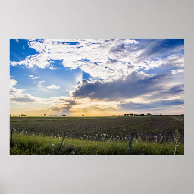 Other Sunset Poster (Front)