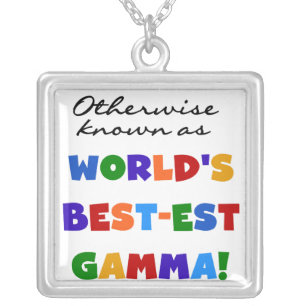 Otherwise Known as Best-est Gamma Gifts Silver Plated Necklace
