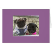 Otis & Maddie card (Front Horizontal)