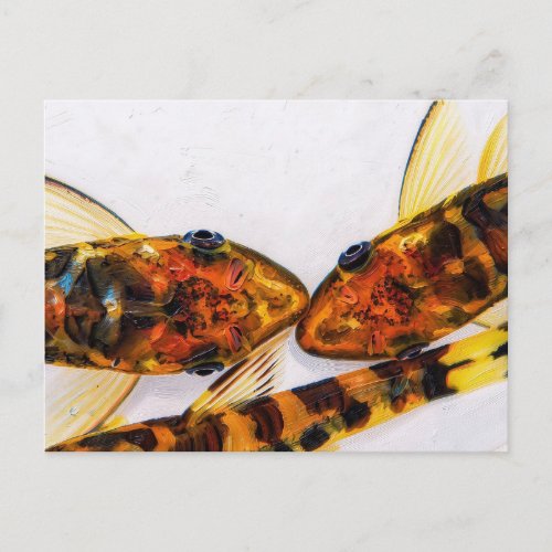 Otocinclus zebra fish tank postcard