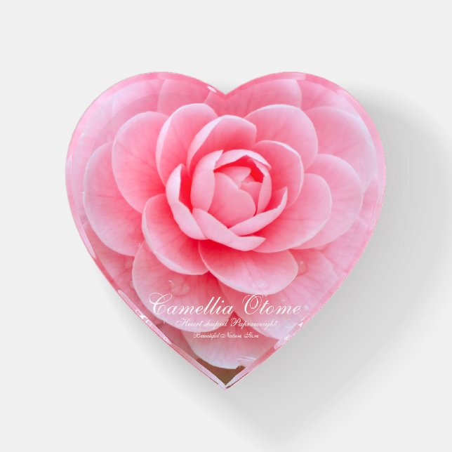 Otome-tsubaki: Camellia [Heart-shaped PaperWeight] Paperweight (Front)